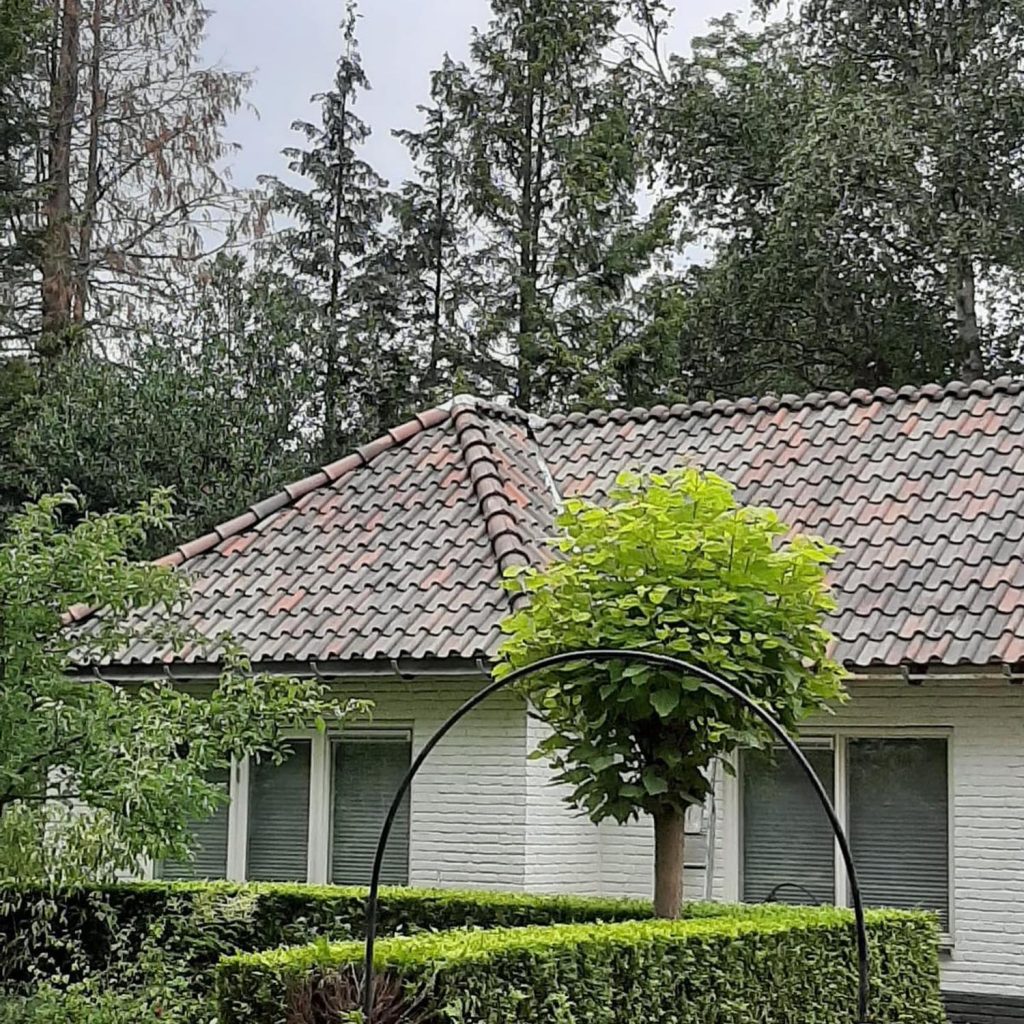 Dak renovatie Baarn