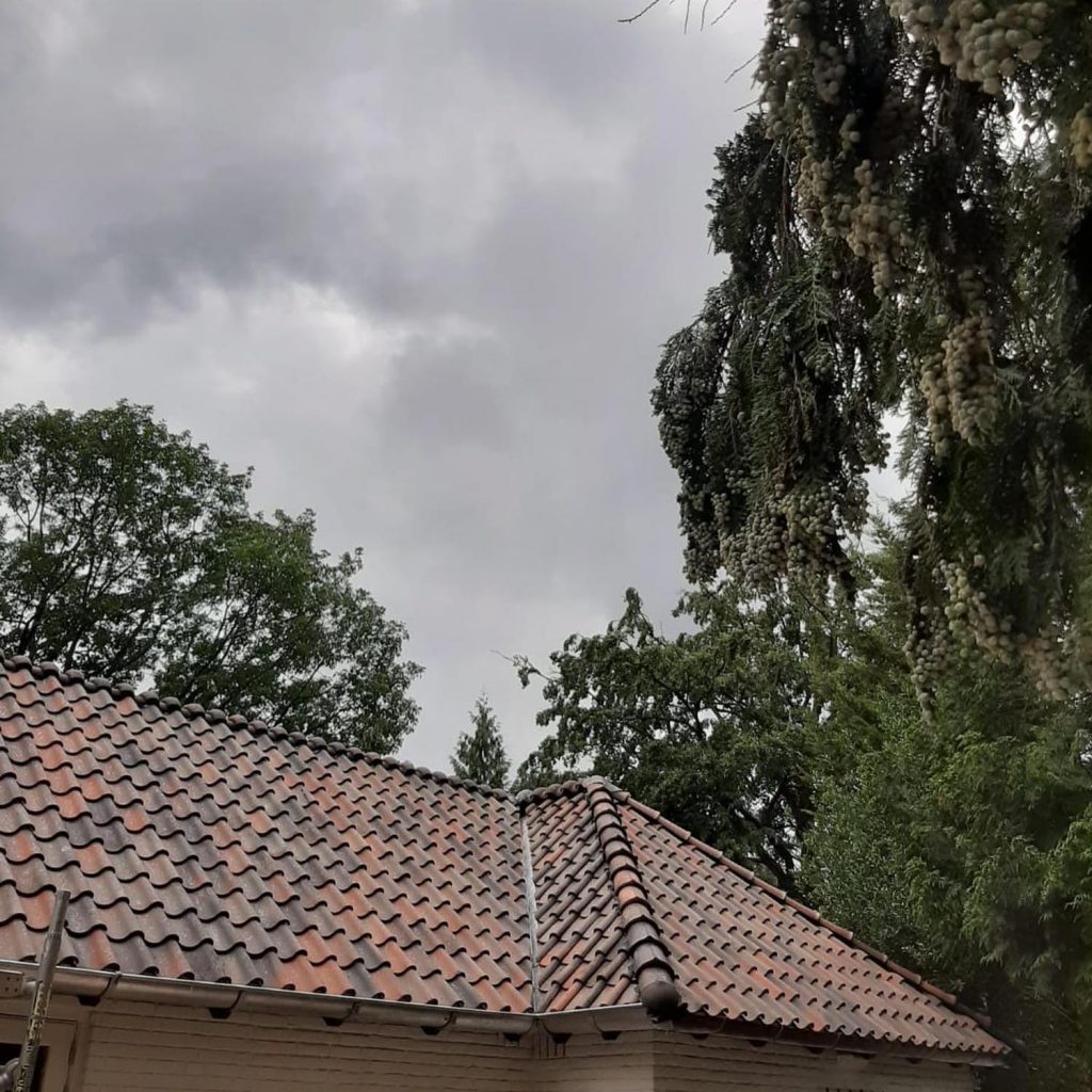 Dak renovatie Baarn