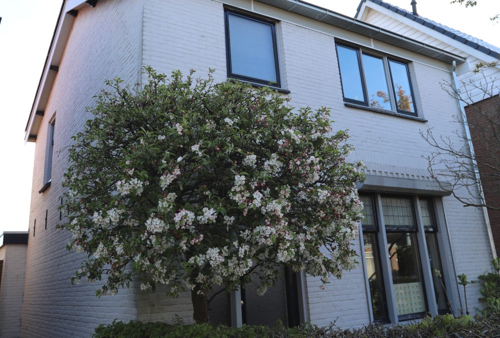 Dakrenovatie Tiel