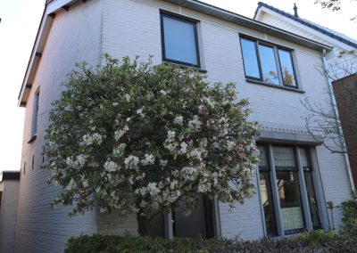Dakrenovatie Tiel
